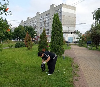 image-1