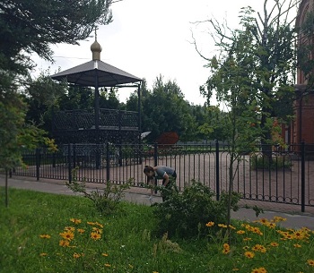 image-1