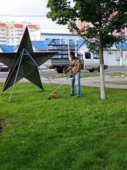 image-1